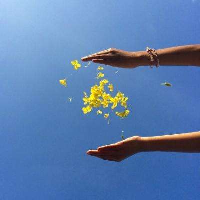 ob体育最新官网下载手机版