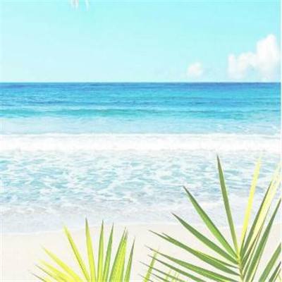 天博官网新版app下载安装教程